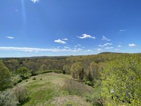 123 Looking Glass Hill Rd #NA - Photo 1 of 1