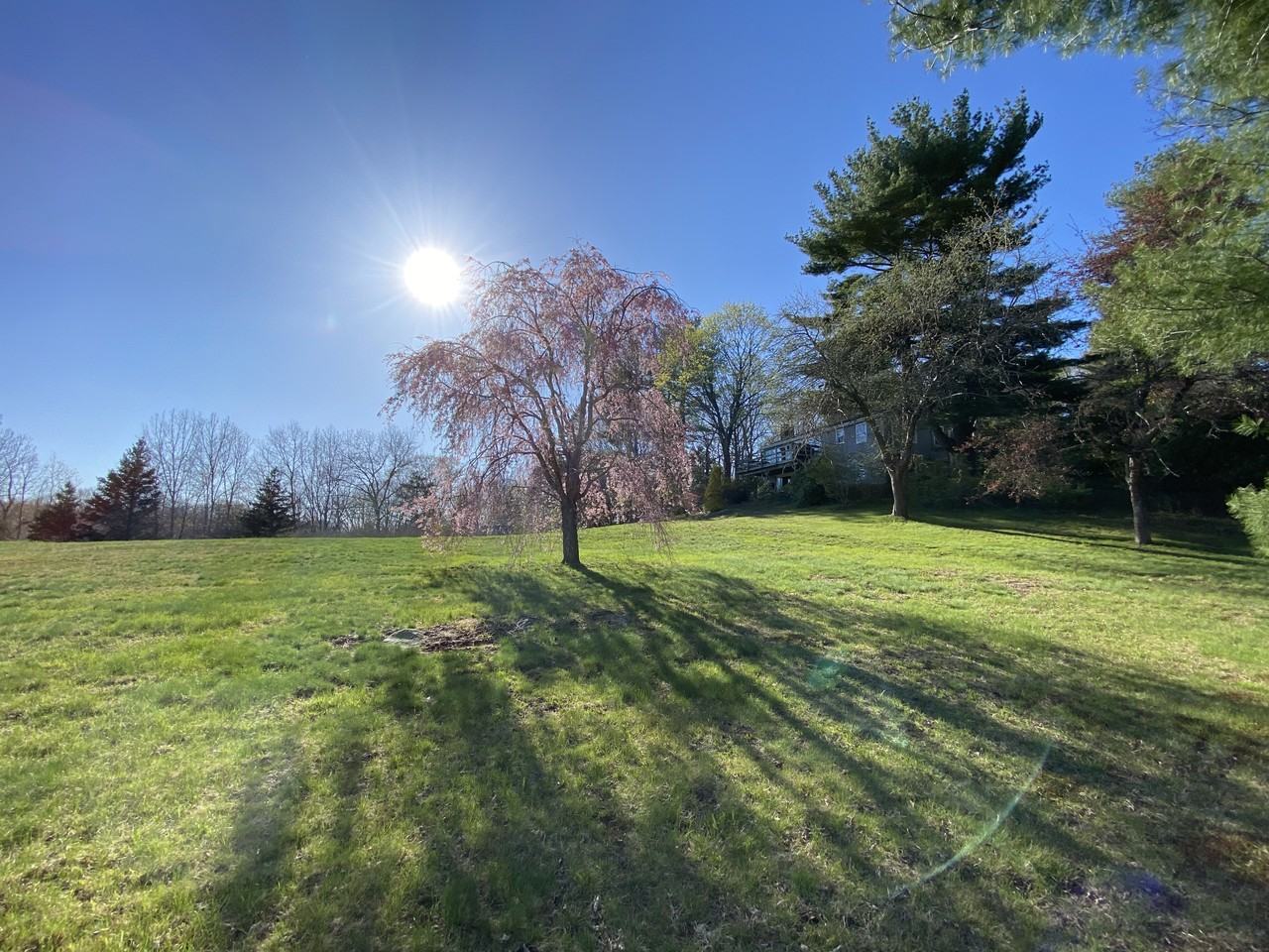 123 Looking Glass Hill Rd #NA - Photo 6 of 32