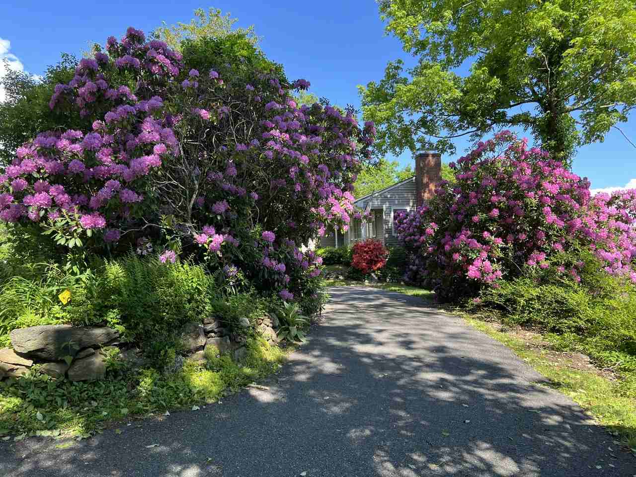 123 Looking Glass Hill Rd #NA - Photo 7 of 32