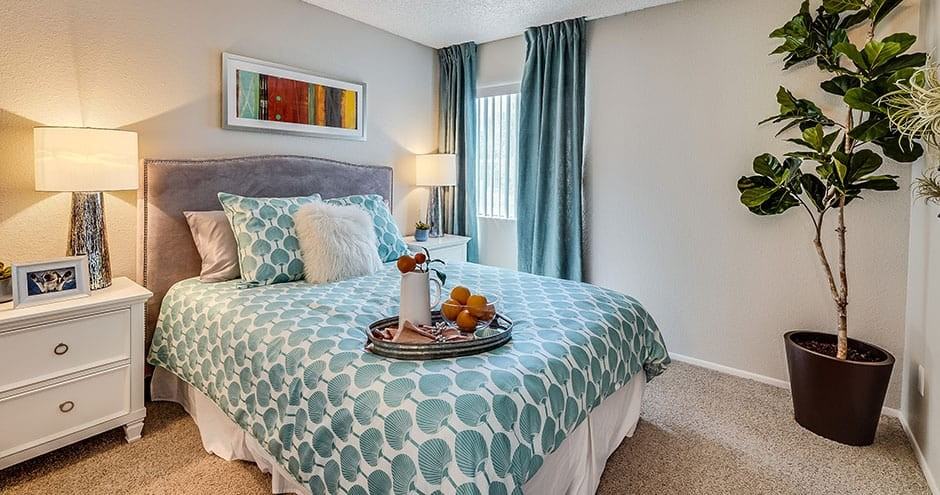 Cielo Apartments - Photo 6 of 28