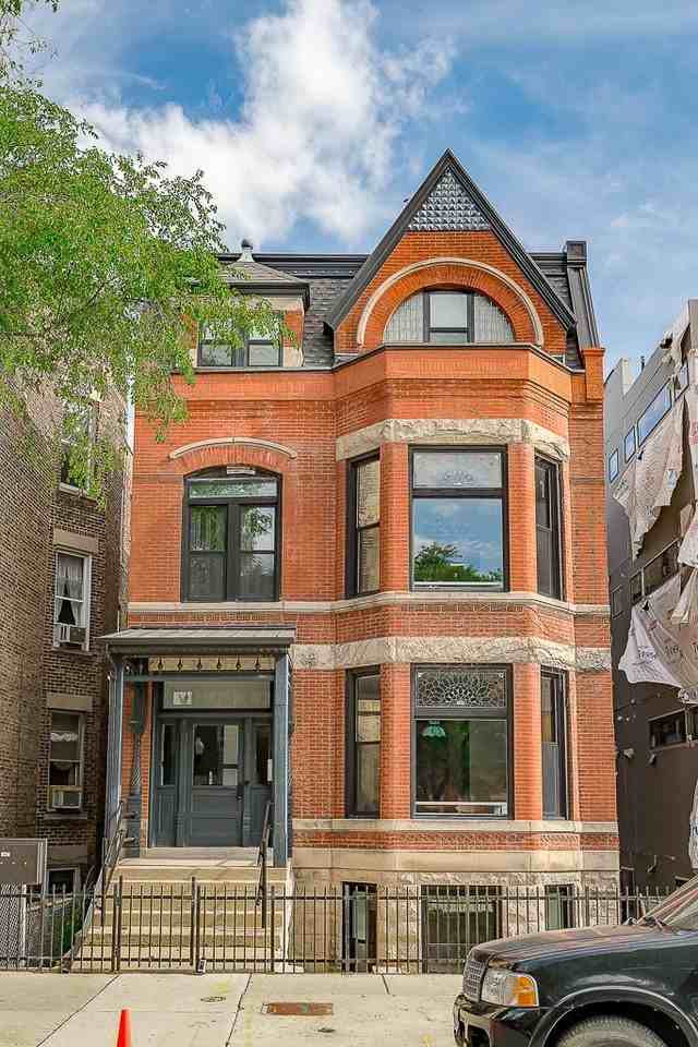 Violet - Photo 2 of 30