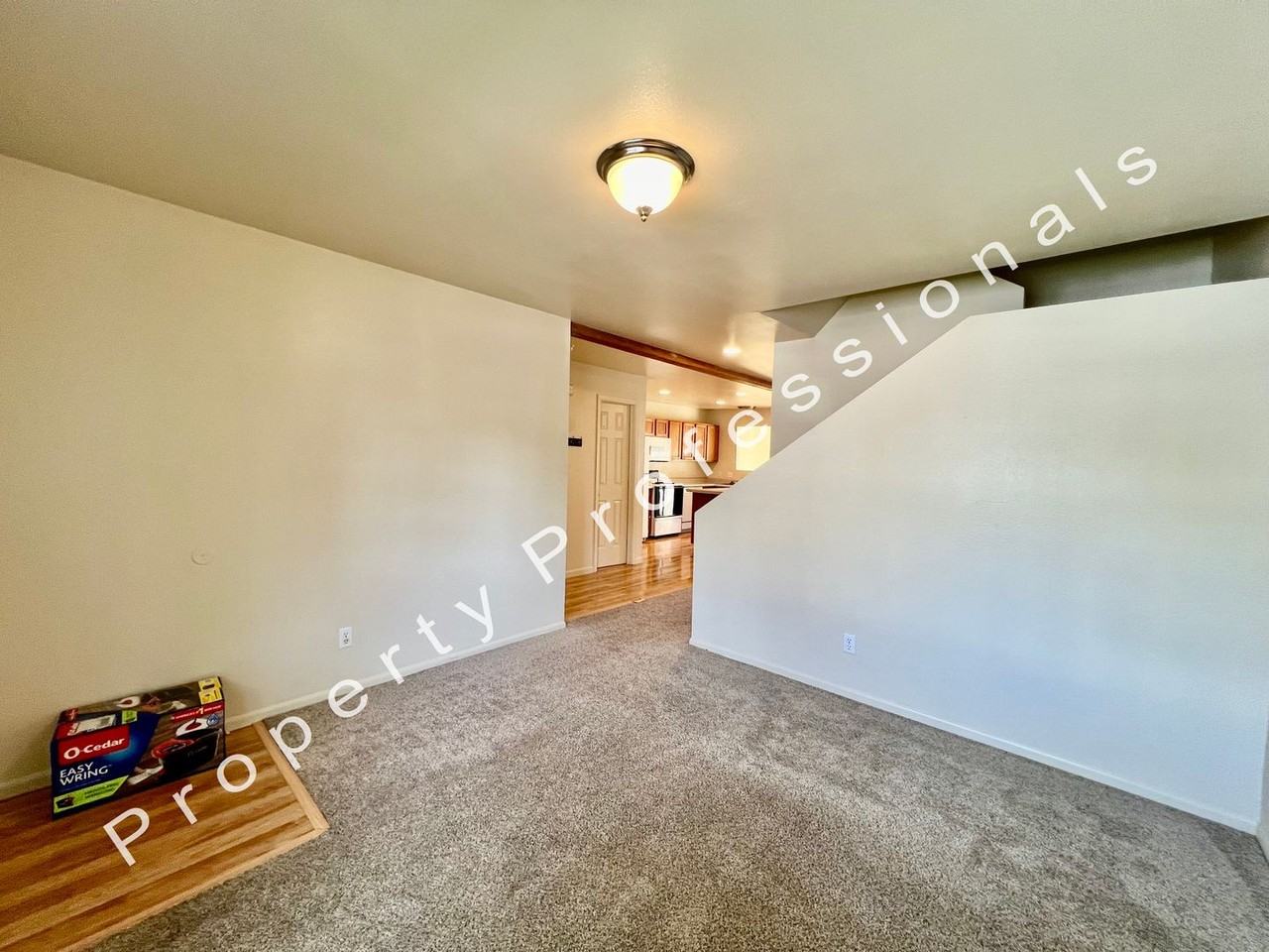 1015 Domelby Ct - Photo 3 of 16