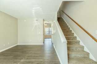 Palmetto Square Apartments - Photo 1 of 1