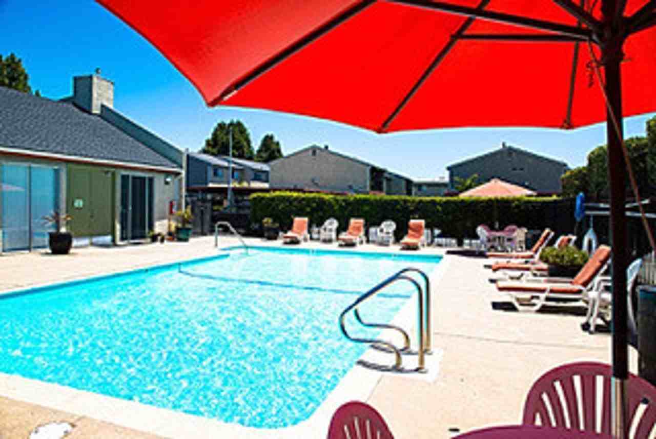 The Palms - Photo 2 of 19