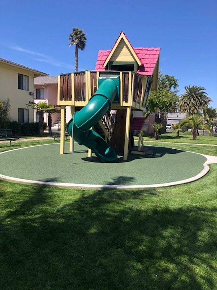 The Palms - Photo 5 of 19