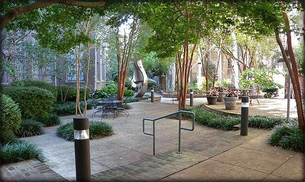 920 Poeyfarre Street, Unit 239 - Photo 6 of 16