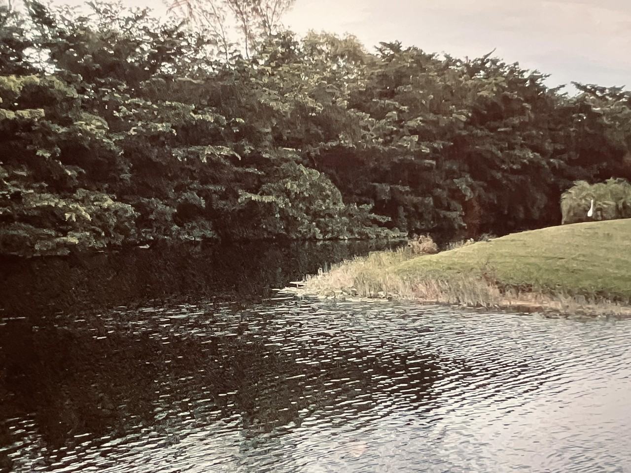 211 Lake Carol Dr, West Palm Beach, FL 33411 1 Bedroom Condo for 1,600