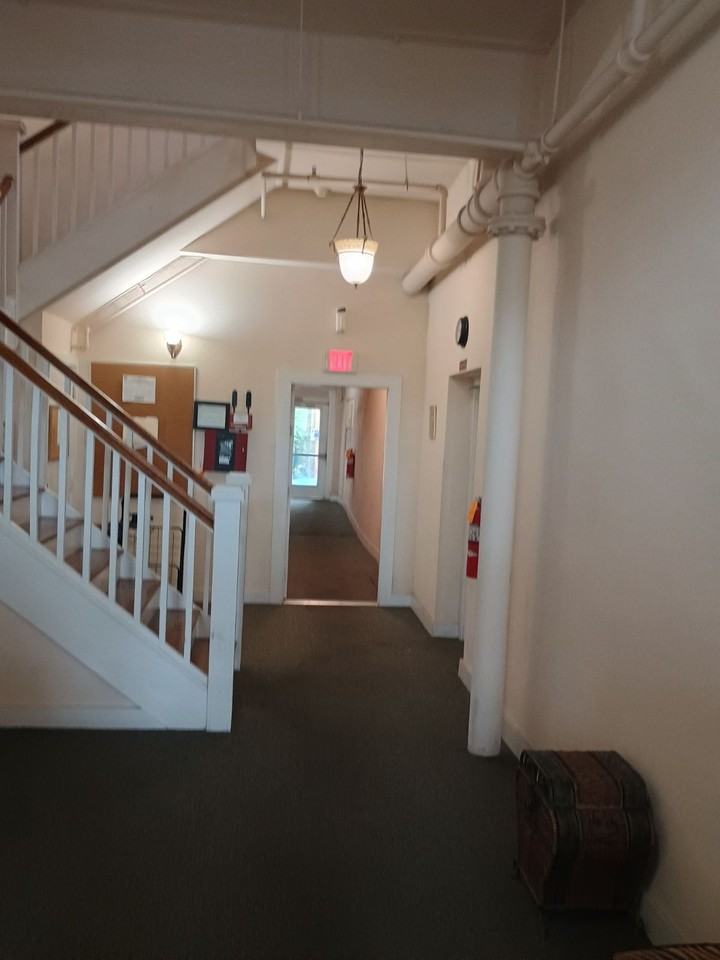 The Rose - Photo 2 of 8