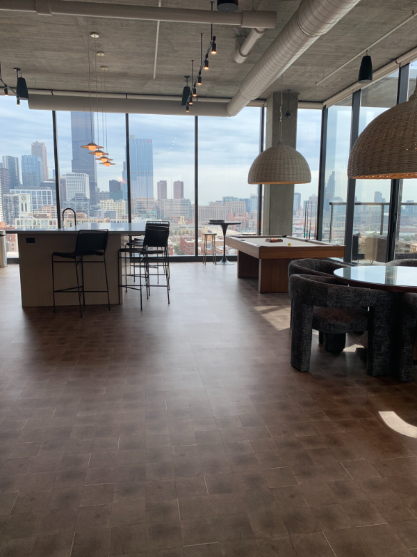 1040 W Van Buren St #1012 - Photo 4 of 9