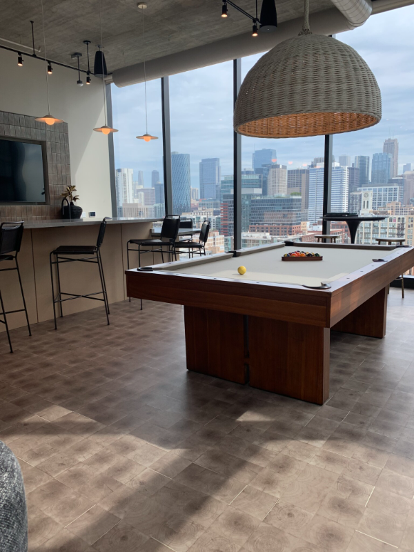 1040 W Van Buren St #1012 - Photo 5 of 9