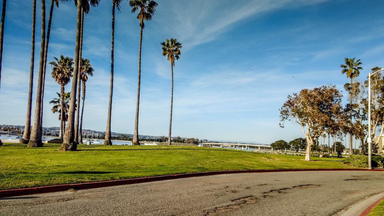 2613 Mission Blvd #PH8 - Photo 7 of 50