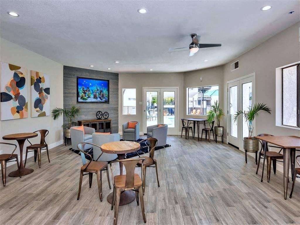 Moxi - Photo 4 of 29