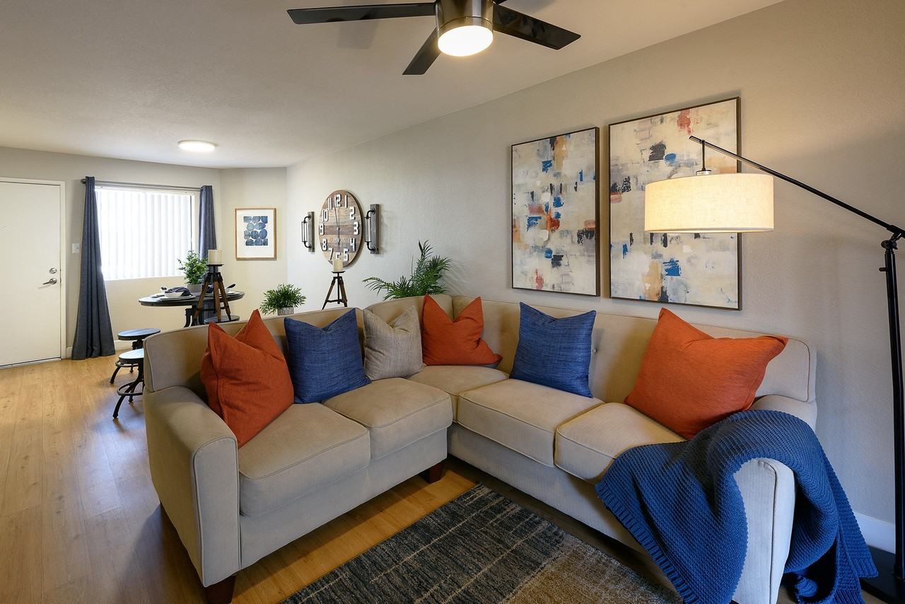 Moxi - Photo 6 of 29