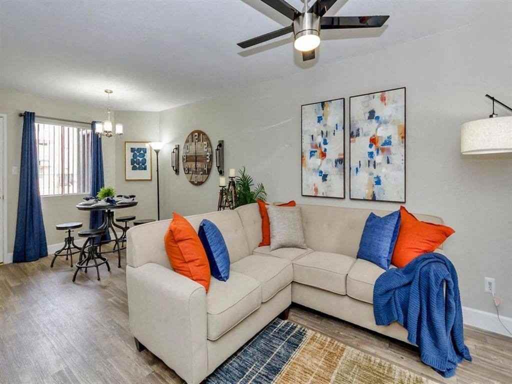 Moxi - Photo 7 of 29