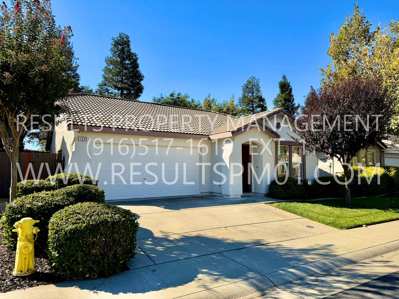 1529 Blue Squirrel St - Photo 4 of 18