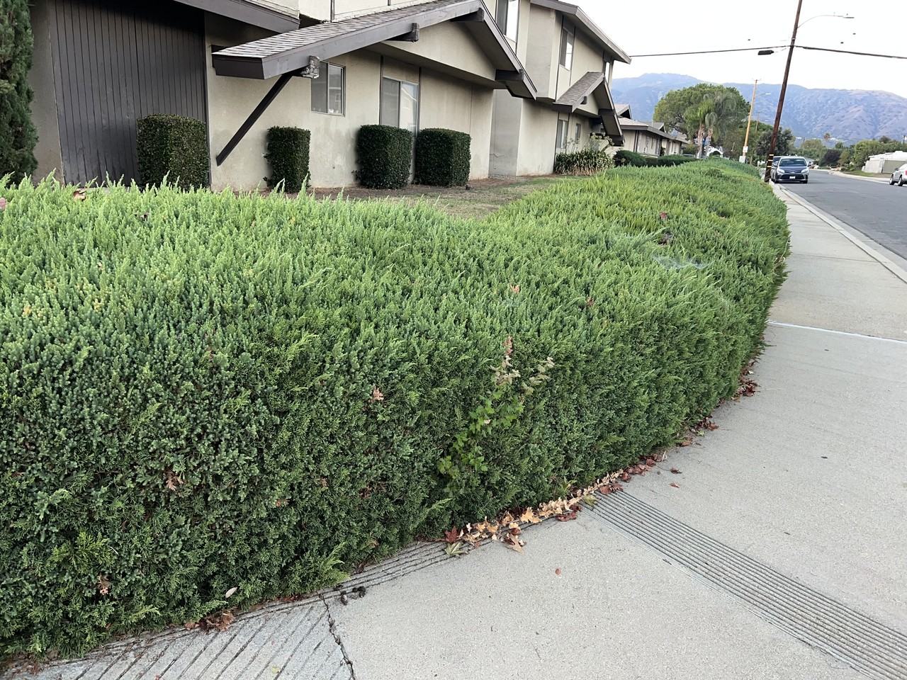 Pattiglen Apartments - Photo 3 of 5