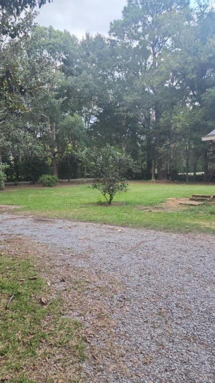 13185 Saeger Rd - Photo 3 of 10