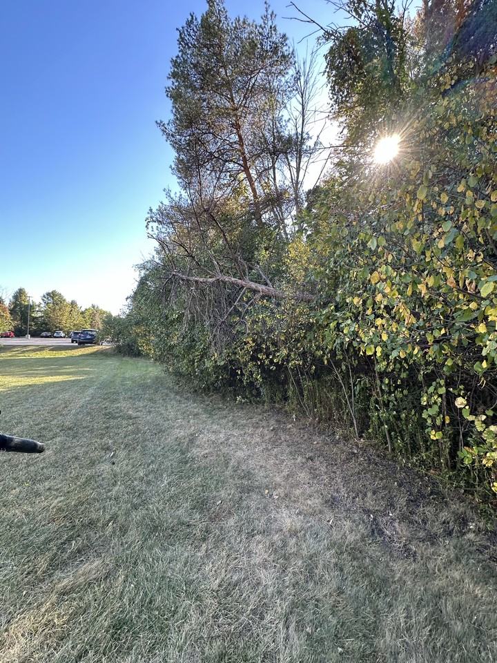 1803 Shepherd Dr - Photo 3 of 11