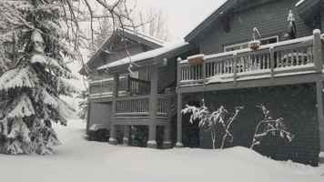 featured image of 1478 Morgan Ct #1701