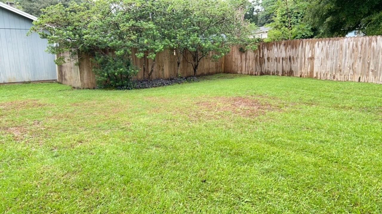 746 Riggins Rd - Photo 2 of 32