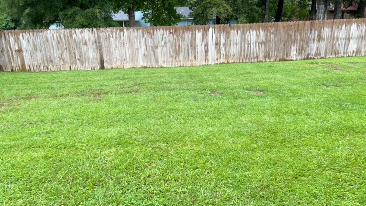 746 Riggins Rd - Photo 3 of 32