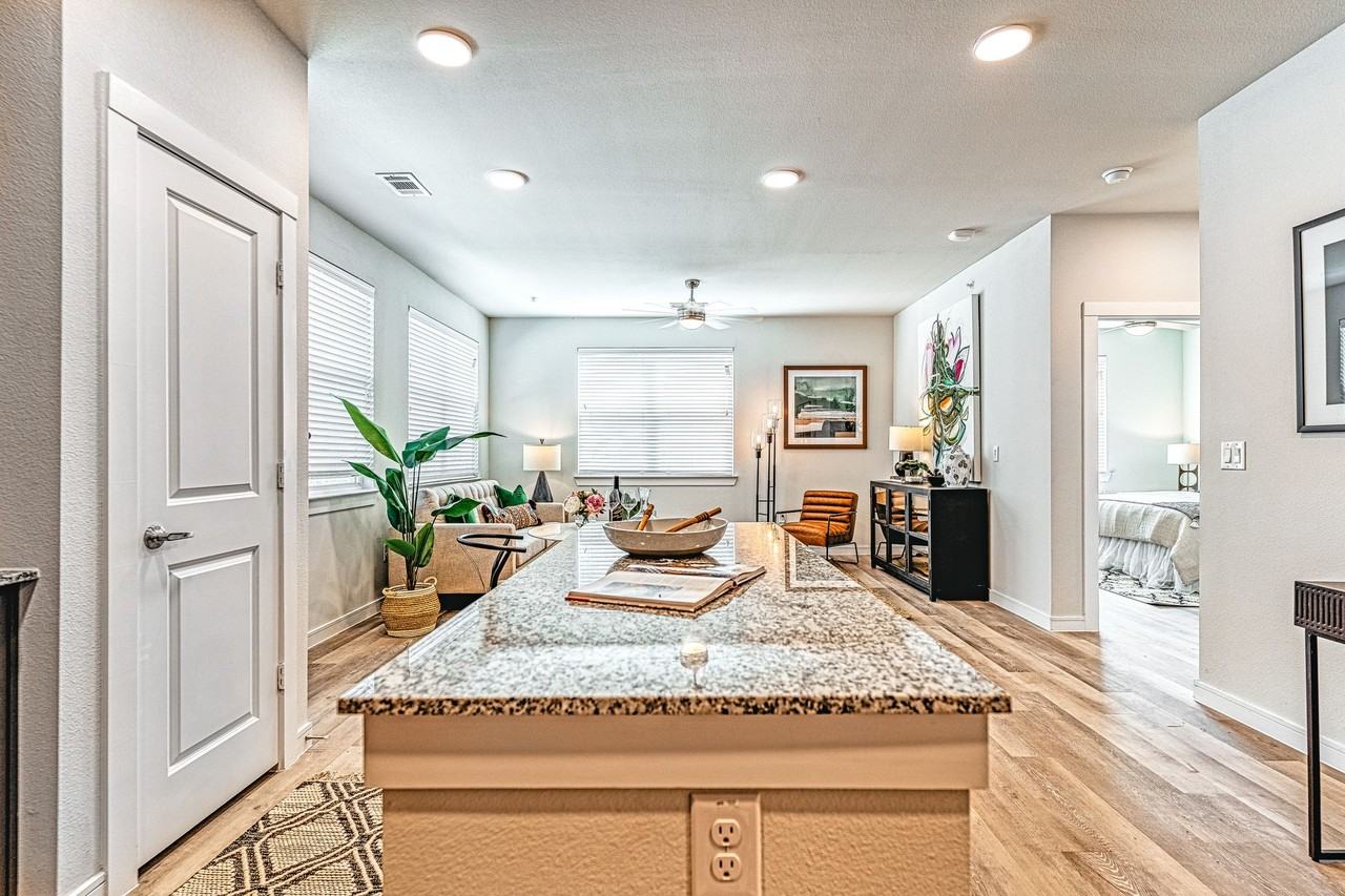 The Magnolia at Georgetown - Photo 2 of 50