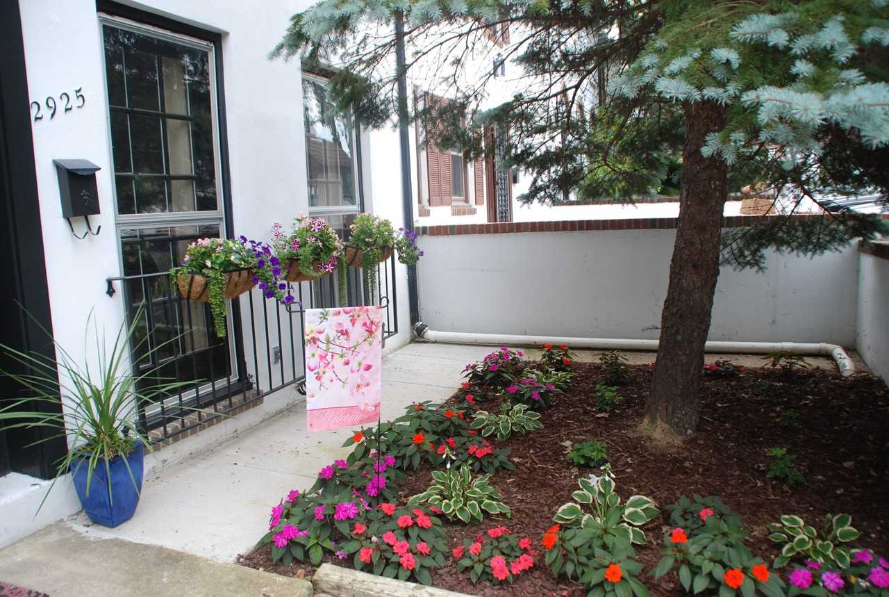 2925 Espana Ct - Photo 2 of 42