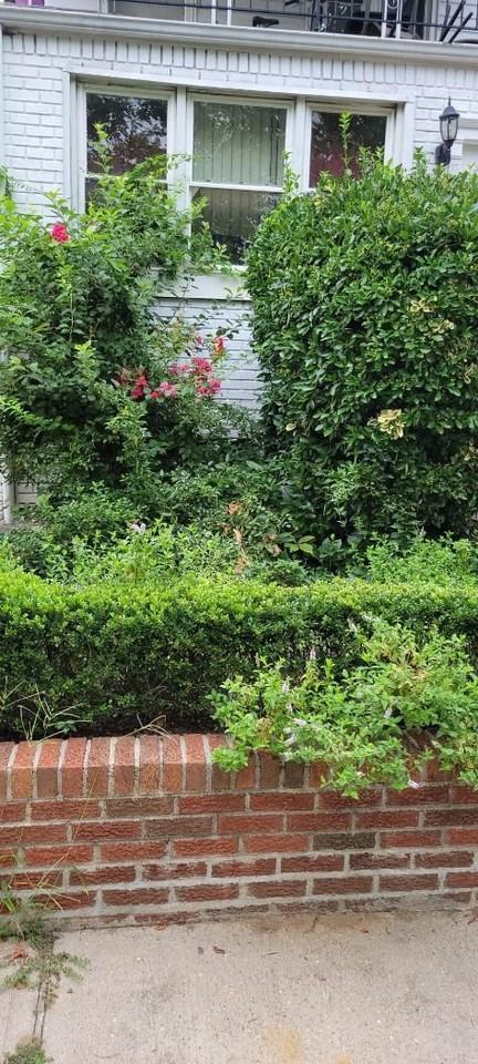 1635 E 91st St - Photo 2 of 6