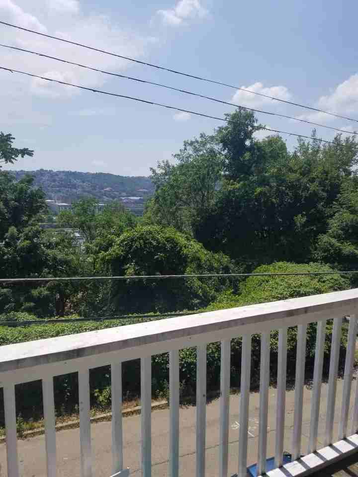 339 Lawn St - Photo 2 of 30