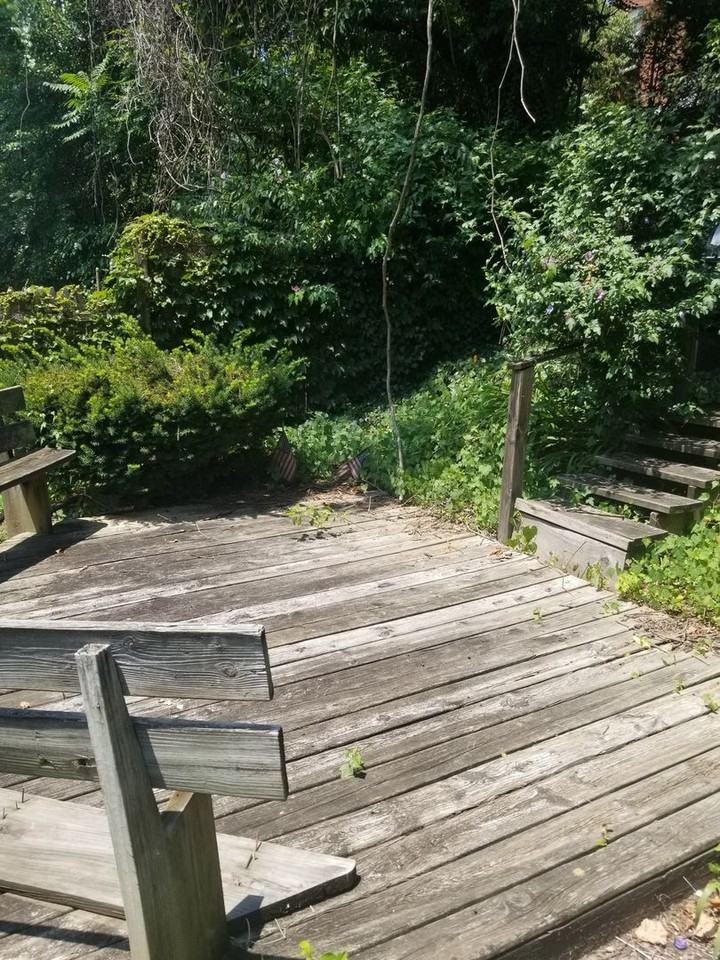 339 Lawn St - Photo 4 of 30
