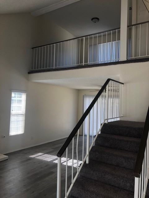 5380 Civetta Ln - Photo 2 of 23