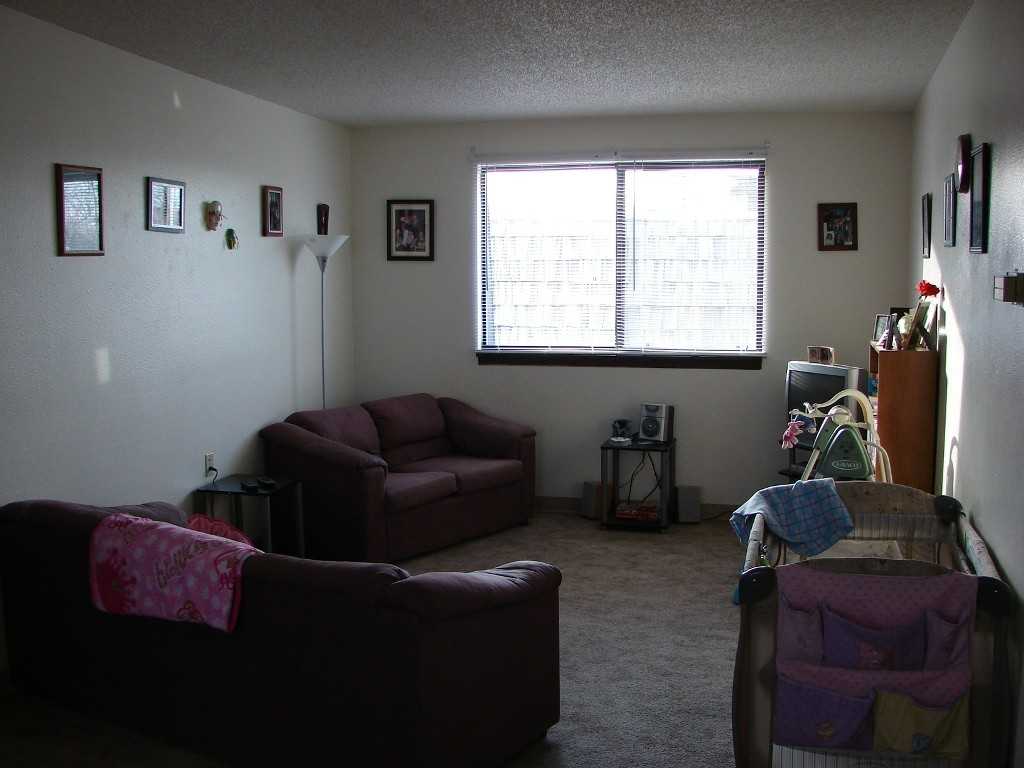 The Elmwoods - Photo 2 of 5