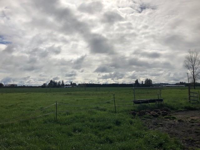 5825 Se Booth Bend Rd - Photo 2 of 20