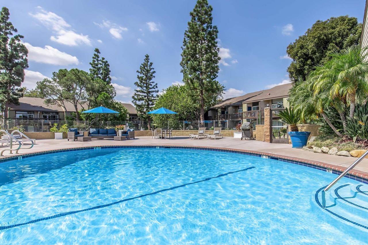 The Lake - Photo 2 of 50