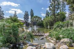 The Lake - Photo 1 of 1