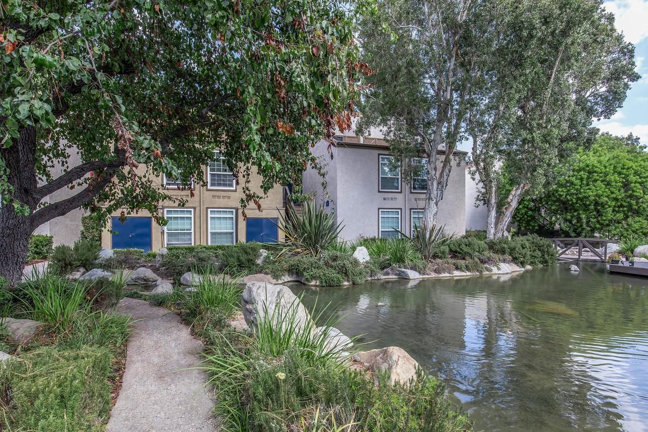 The Lake - Photo 5 of 50