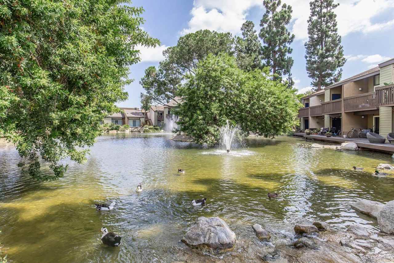 The Lake - Photo 7 of 50