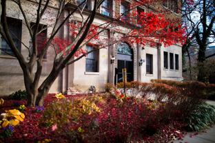 The Zenith - Photo 1 of 1