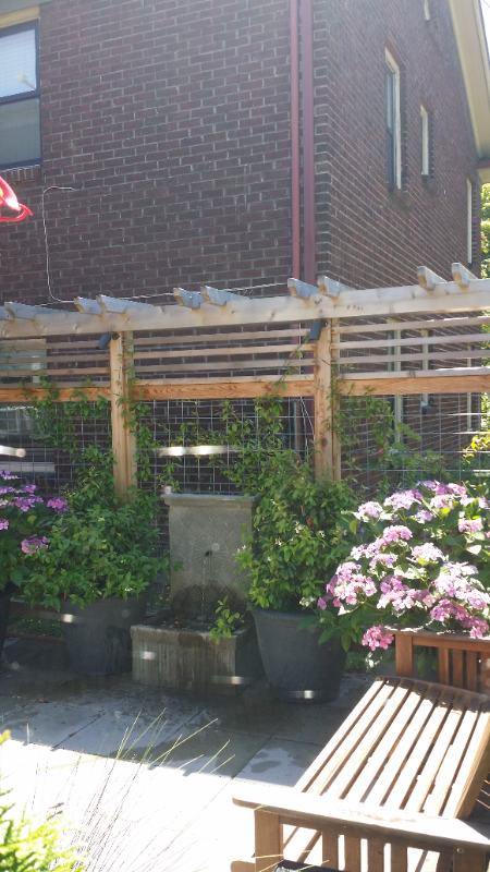 115 30th Ave #C - Photo 3 of 16