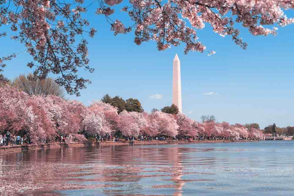 9102 Cooper Dr #NA - Photo 3 of 4