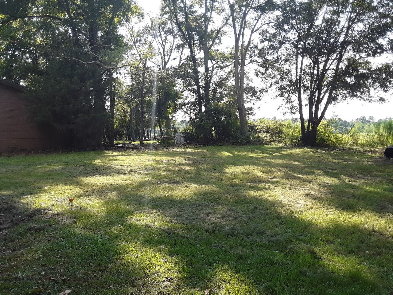 5031 N Salemburg Hwy #NA - Photo 3 of 12