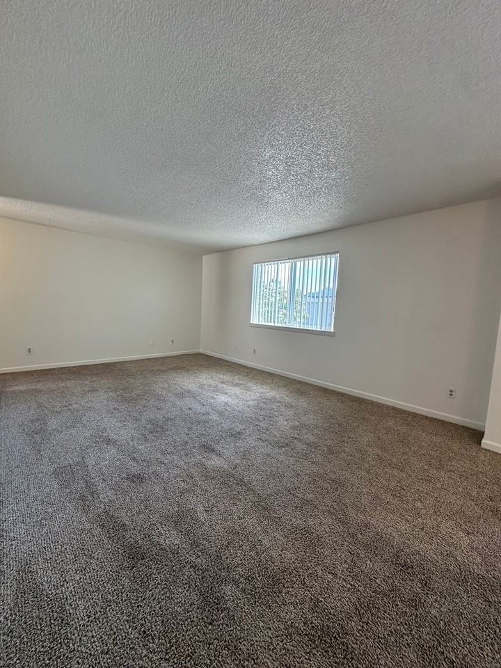 452-Trinity Apartments - Photo 6 of 35