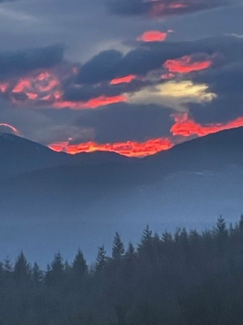 204 Woodland Way #NA - Photo 3 of 27