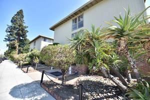 Royal Garden - Photo 3 of 6