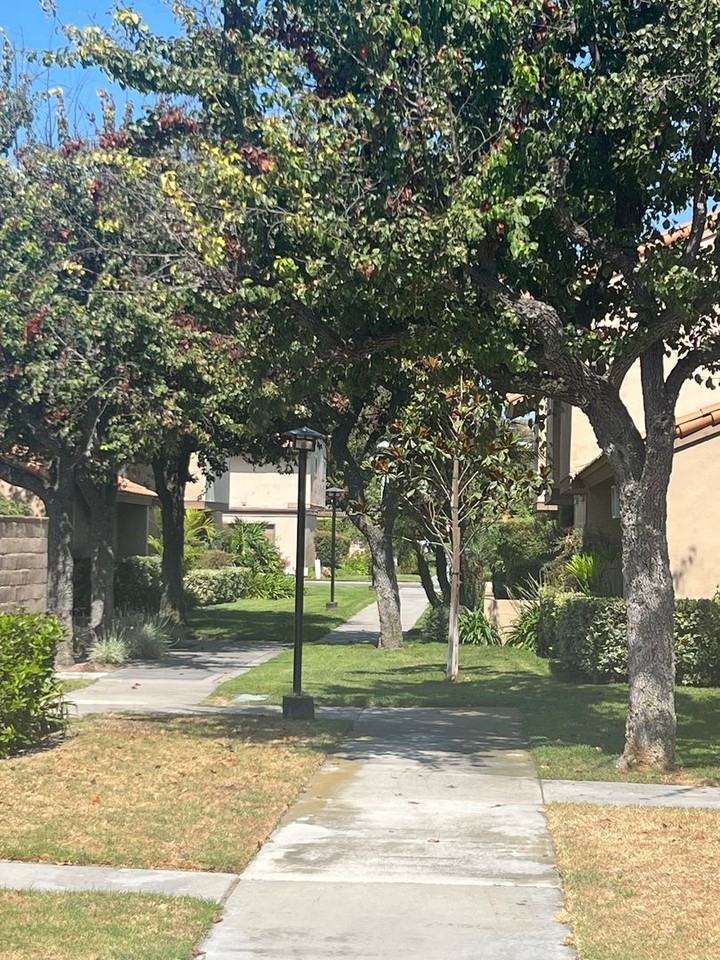 10549 Carrotwood Way - Photo 5 of 27