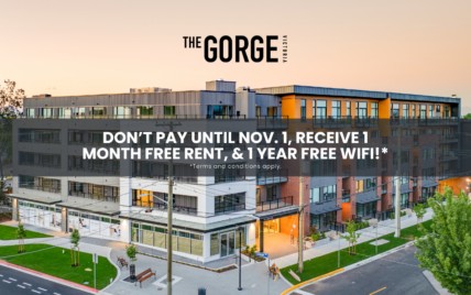 The Gorge Apartments - 45 Gorge Rd E, Victoria, BC V9A 1L1 - Zumper
