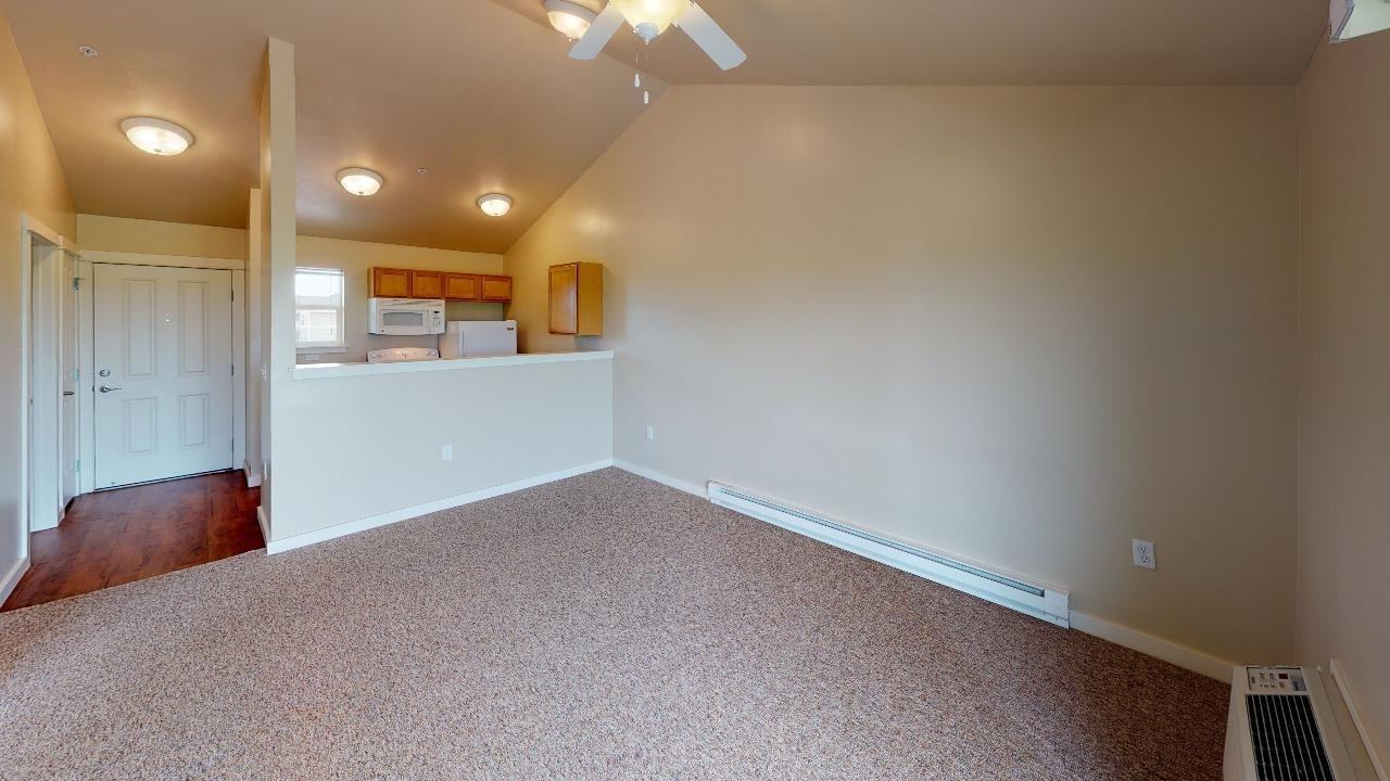 Studio, One Bedroom, Two Bedroom, Three Bedroom Apartments! All Animal Friendly! - Photo 6 of 50