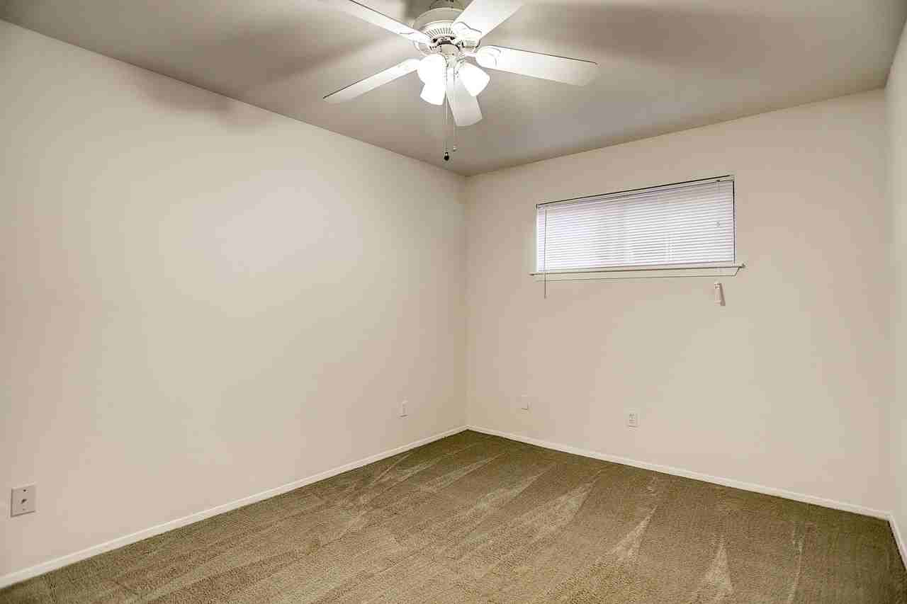 Graustark - Photo 5 of 27