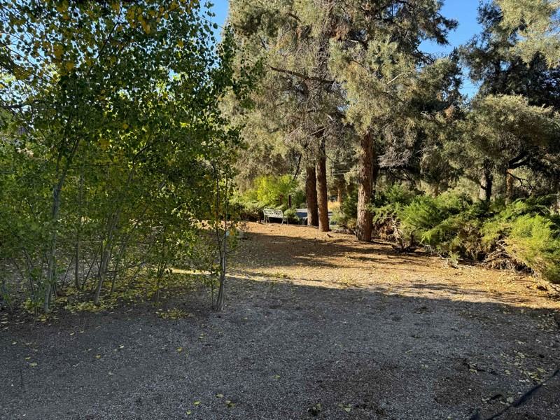 2612 Arbor Dr - Photo 3 of 24