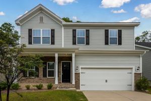 featured image of 205 Long Iron Ct